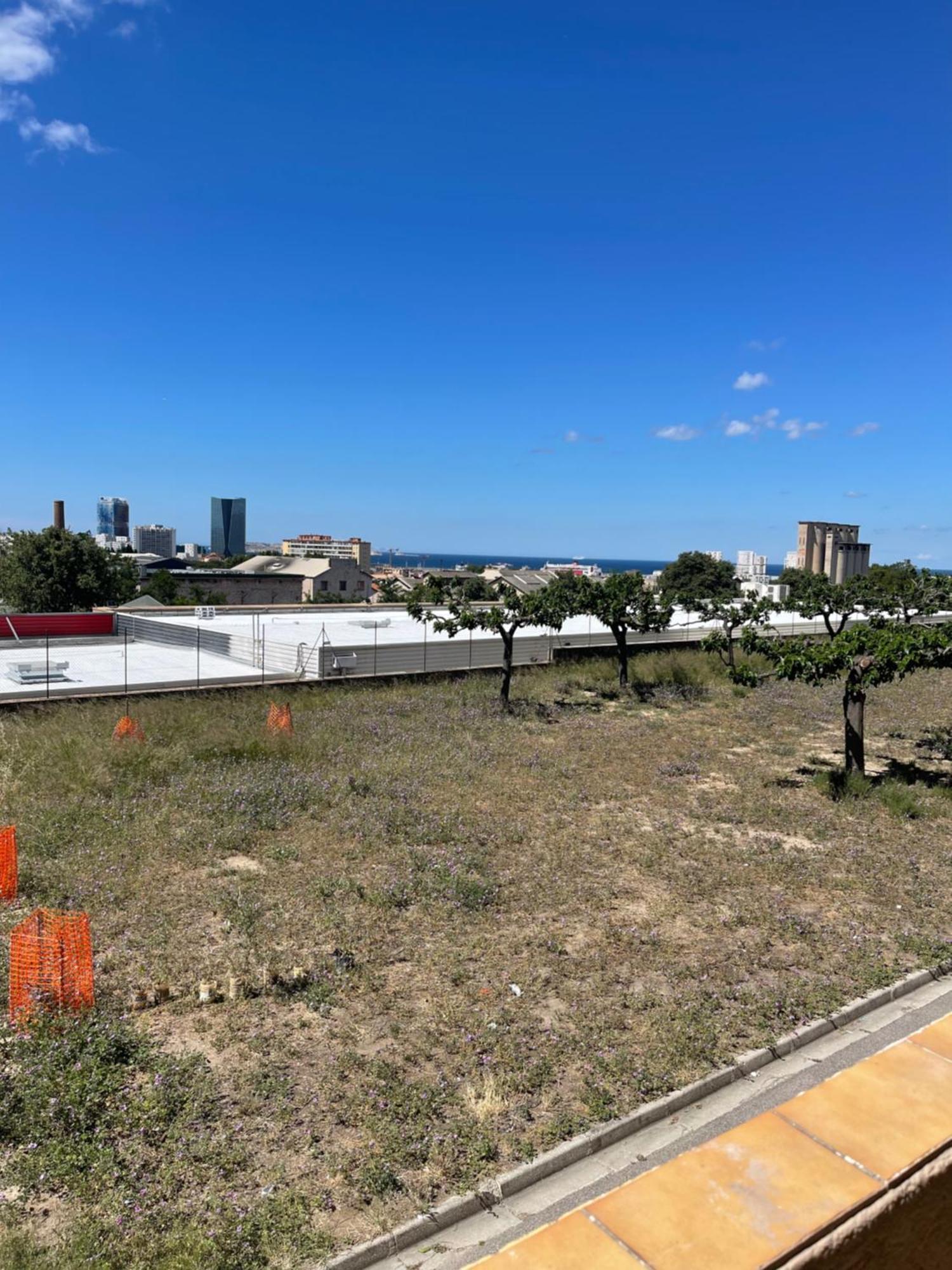 La Perle Marseillaise Apartman Marseille Kültér fotó